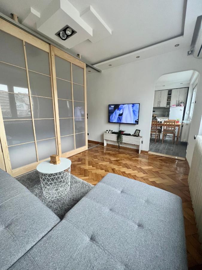 Comfortable Apartment In City Hub Bělehrad Exteriér fotografie