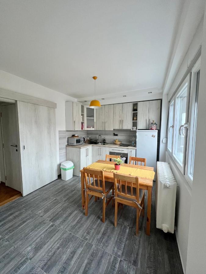Comfortable Apartment In City Hub Bělehrad Exteriér fotografie