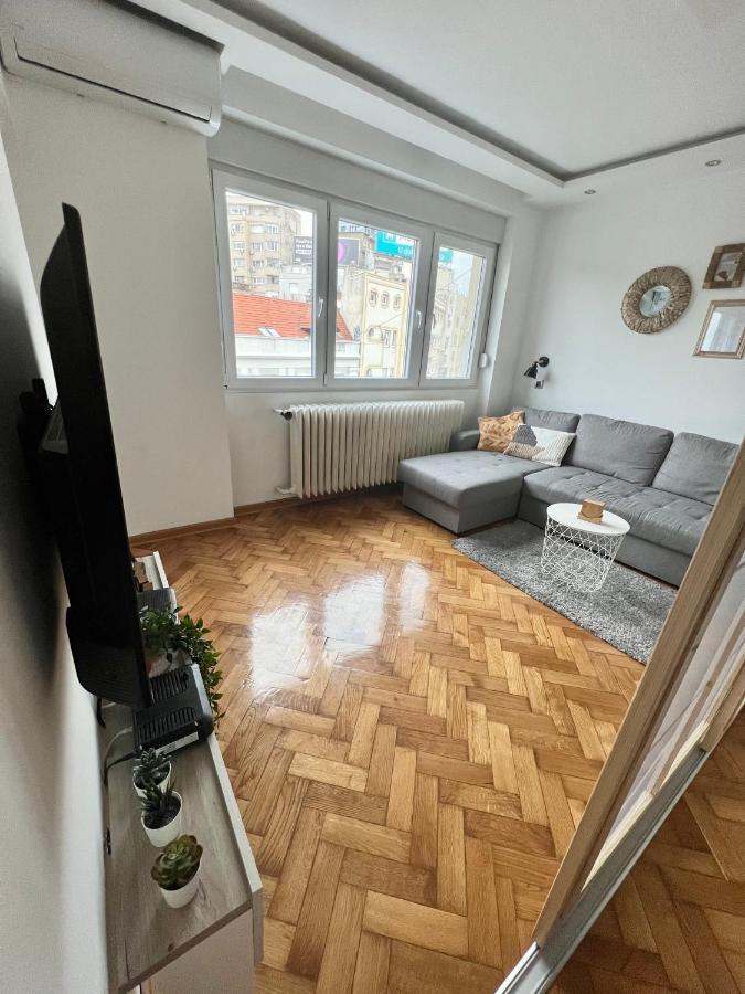 Comfortable Apartment In City Hub Bělehrad Exteriér fotografie